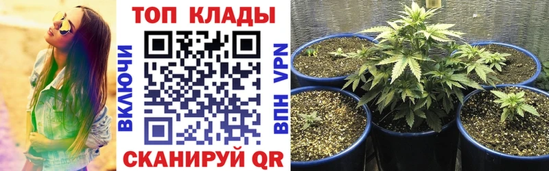 Магазины продажи наркотиков Балашиха МАРИХУАНА КОКАИН АМФ Меф ГАШ