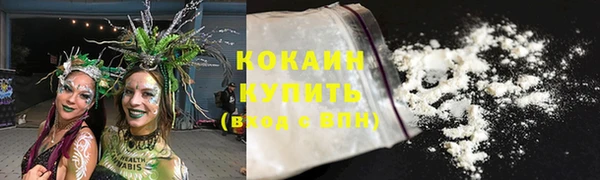 apvp Вяземский