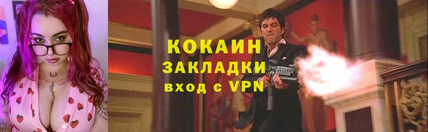 apvp Вяземский