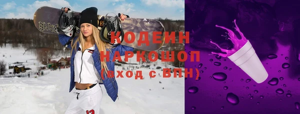 apvp Вяземский
