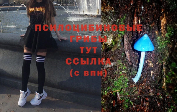 apvp Вяземский