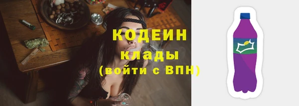 apvp Вяземский