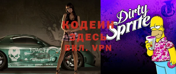apvp Вяземский