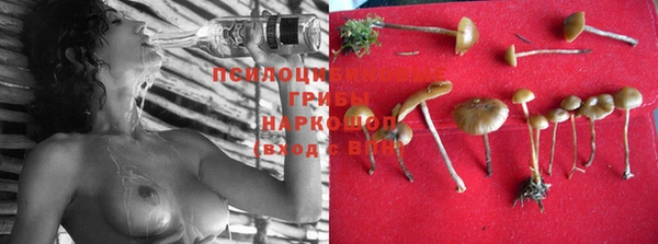 apvp Вяземский