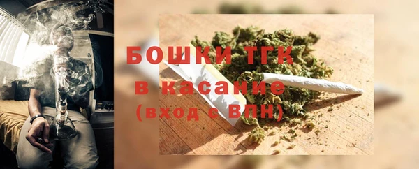 apvp Вяземский